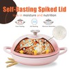 Enameled Round Cast Iron Bread Oven, 6 Qt Cast Iron