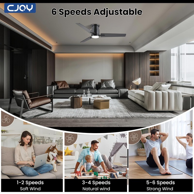 CJOY Ceiling Fan with Lights, 48 Inch Low Profile Ceiling