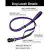 Heavy-Duty Dog Leash, 4-6 feet Shock-Absorbing Tactical Dog Leash, Advanced