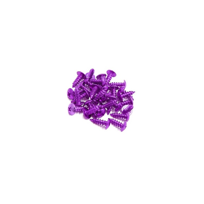 INFINAUTO 30pcs Universal Purple Motorcycle Self Tapping Bolts Screws Stylish