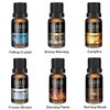 CAKKI CAKKI Winter & Summer Essential Oils Sets Bundle, Premium