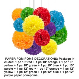 Aimto 12pcs Rainbow Paper Pom Poms Decorations for Party Ceiling Wall Hanging Tissue Flowers Decorations - 6 Colors of 12 Inch, 10 Inch