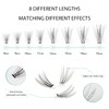 Oreola 10D Individual Eyelashes, Reusable False Eyelashes, 228 Pieces, Individual