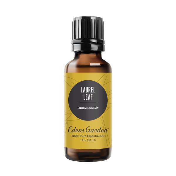 Edens Garden Laurel Leaf Essential Oil, 100% Pure Therapeutic Grade (Undiluted Natural/Homeopathic Aromatherapy Scented Essential Oil Singles) 30 ml