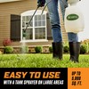 Ortho WeedClear Lawn Weed Killer Concentrate, Kills Crabgrass, Dandelion and