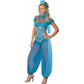 Princess Jasmine Genie Belly Dancer Arabian Nights Costume (Extra Large)