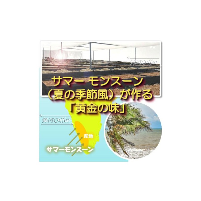 Coffee Raw Beans Golden Monsoon Galaxy Coffee (250g, Coffee)