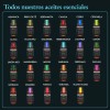Bienat Aromaterapia Aceite Esencial De Hierbabuena 100% Natural 100% Puro