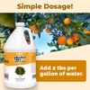 Orange Tree Fertilizer, Complete Liquid Orange Tree Citrus Plant Food,