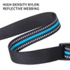QUETTO Nylon Dog Collars Double Security Adjustable Classic Pet Collars