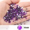 AUREHEN 10000PCs 2-6MM Violet Resin Flat Back Rhinestones with Silver