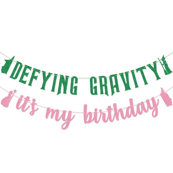Defying Gravity It's My Birthday Banner for Wicked Witch Birthday