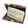 Domino Poker 28 Pieces Double 6 Points Dominoes for Adults