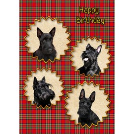 Scottie/Scottish Terrier Dog Birthday Card
