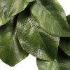 American Best Christmas Quality Magnolia Leaf Grapevine Wreath 16"