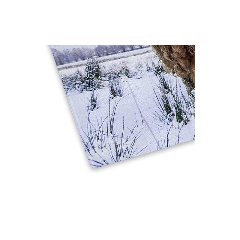 Whats On Your Wall.com Brown Snow White Blue Cow Glass