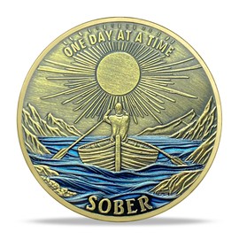 9 Year Sobriety Coin Gifts Set | Sunflower & Butterfly Design AA Chip Medallion with Coin Capsule, Display Stand & Card | Sobriety Gifts for Anniversary Month & Year for Men & Women in Recovery