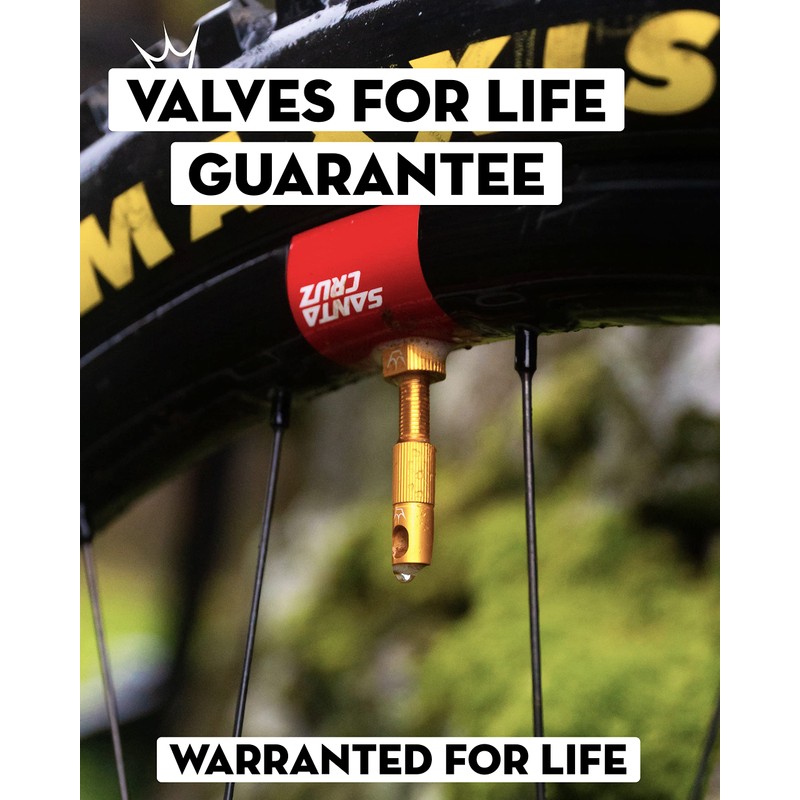 Peaty's x Chris King (MK2) Tubeless Valves, 42mm, Gold