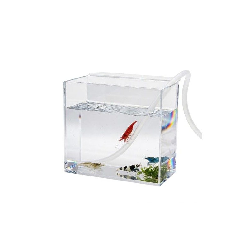 FAWAYSHAAN Drip Acclimation Box for Fish & Shrimp, Small