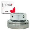 MAPLE ACE SA206-20 Insert Bearing 1-1/4" Bore, Spherical OD with