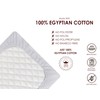 Hajran Linen – 100% Pure Cotton Pack of 2 Cot