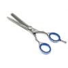 Professional Razor Cut & Thinner Hair Shears 6" 2- in