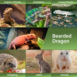 LIKZINWA Bearded Dragon Sling Carrier, Small Animal Carrier Lizard Carrier and Reptile Carrier with Adjustable Strap