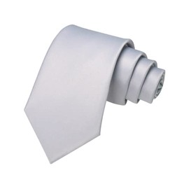 JEMYGINS Silver Tie Mens Necktie for Business and Wedding (Silver)