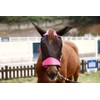 Ankaier Horse Fly Mask – Stretch UV-Protective Full-Face Mesh with