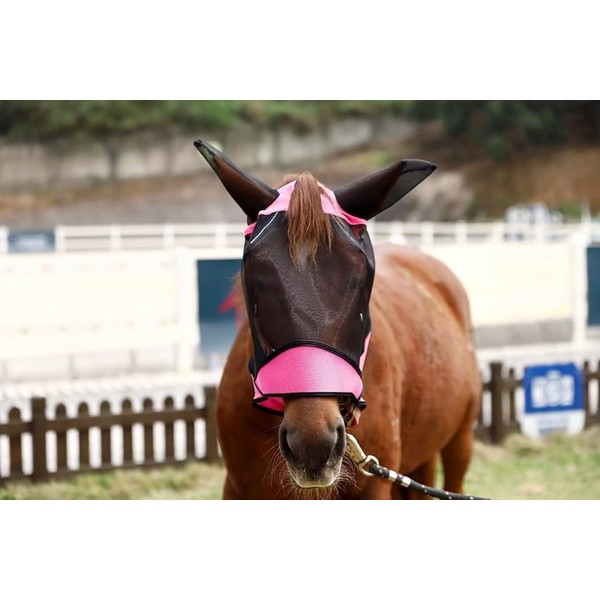 Ankaier Horse Fly Mask – Stretch UV-Protective Full-Face Mesh with
