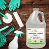Isopropyl Alcohol Grade 91% - 4 Gallon - Made in