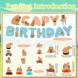 Rakuto Capybara Birthday Party Decorations - 13PCS Capybara Banners with Hanging Swirls Bday Decoration Cute Capy Honeycomb Centerpieces Supplies