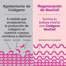 Peptidos De Colageno Sin Sabor 400 G Neocell                                                                                                          