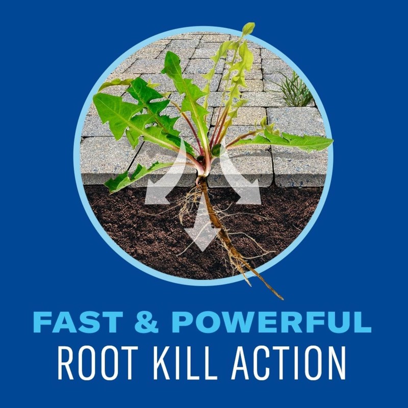 BioAdvanced Weed & Grass Killer Super Concentrate, 64-Ounce