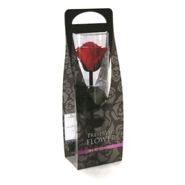 FlowerEver FL00072-005 Preserved Flower, Short Stem Rose, Cherry Red, Approx. Flower Diameter 1.4 - 2.0 x 7.9 inches (3.5 - 5 x 20 cm)