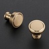 Ravinte 5 Pack Champagne Bronze Kitchen Cabinet Knobs Single Hole