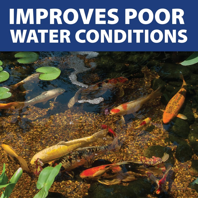 The Pond Guy InstaFix Algae Control, Outdoor Water Garden, Fountain