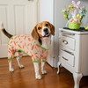 Vehomy 4-Pack Pet Dog Easter Pajama Puppy Easter Onesies Cat