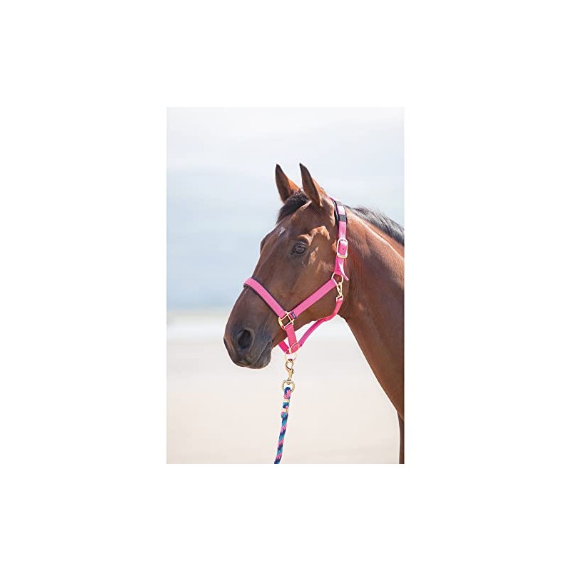 Shires Topaz Nylon Pony/Horse Headcollar - Pink Pony