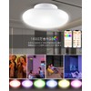 LED Ceiling Light, 4 Tatami, 6 Tatami Mats, Smartphone Control,