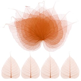 M METERXITY 100-Pack Skeleton Leaves, 5.1 Inch Natural Dried Pressed Bodhi Skeleton Leaves Vein for Resin/DIY Crafts Card/Scrapbook/Wedding, Small Leaves Decorative [Coffee]