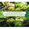 LUCKY PLANT Moss Terrarium Beding Live Moss Terrarium Moss Composite
