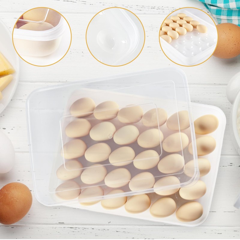 Deviled Egg Containers with Lid,Plastic Egg Holder for Refrigerator,Clear Egg