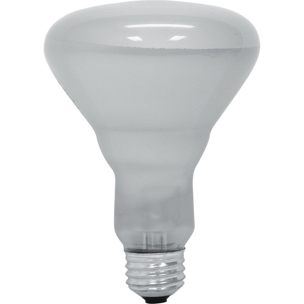 GE Lighting 20331 65 Watt Soft White Indoor Floodlight
