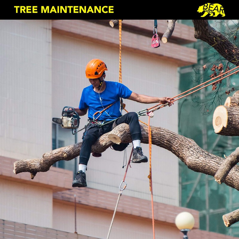 BearTOOLS Interchangeable Tool Safety Lanyard Detachable Buckle Multi Accessory Connection