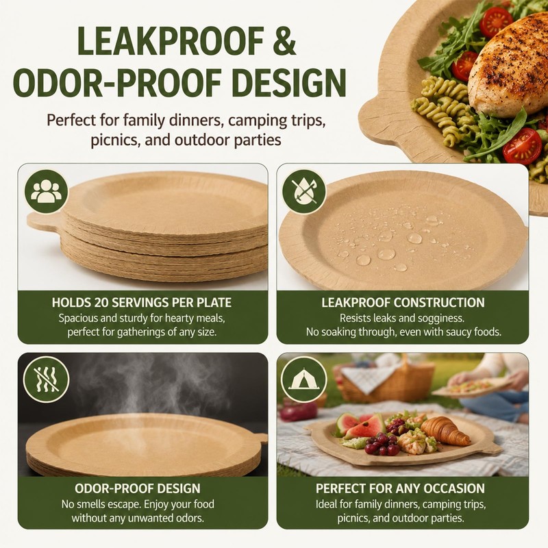 Round Layer Disposable Plates: 3 Plates 60 Servings Total 20