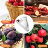 YYTECH Cherry Pitter, Cherry Stone Pitter for Kitchen Ready Pitted