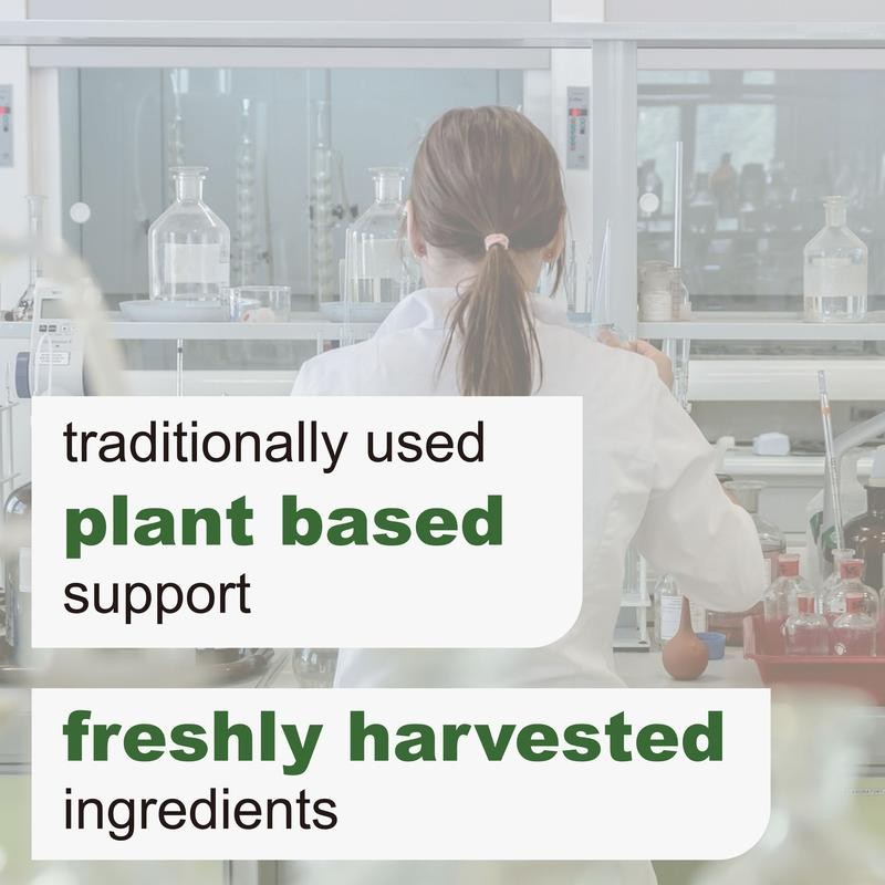 NZEN Oil of Oregano with Black Seed Oil 300 Capsules