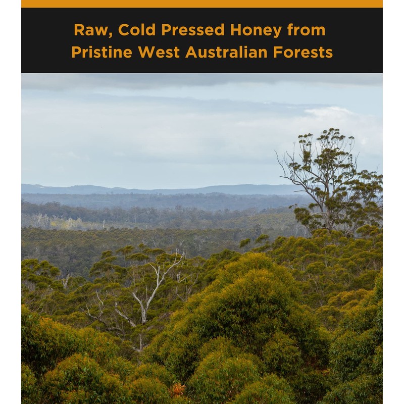 Honey For Life Active Jarrah TA35+ Medicinal Honey 260 g