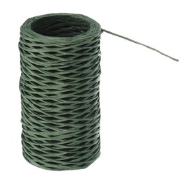 PATIKIL 164 Feet Floral Bind Wire Wrap Twine, 1mm Florist Wire Iron Wire Paper Covered Vine Wrapping Binding Wire for Flower Bouquets, Green